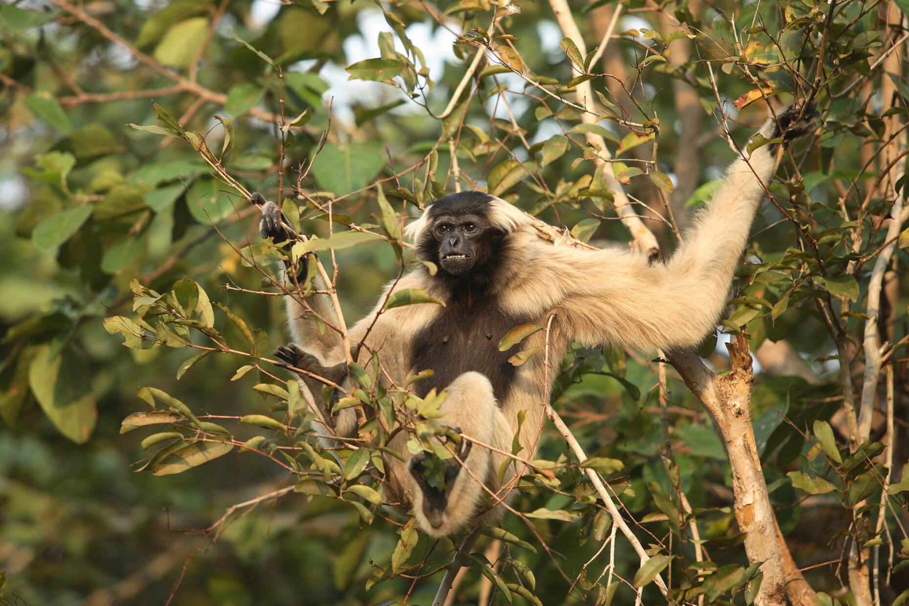 Botum Sakor National Park