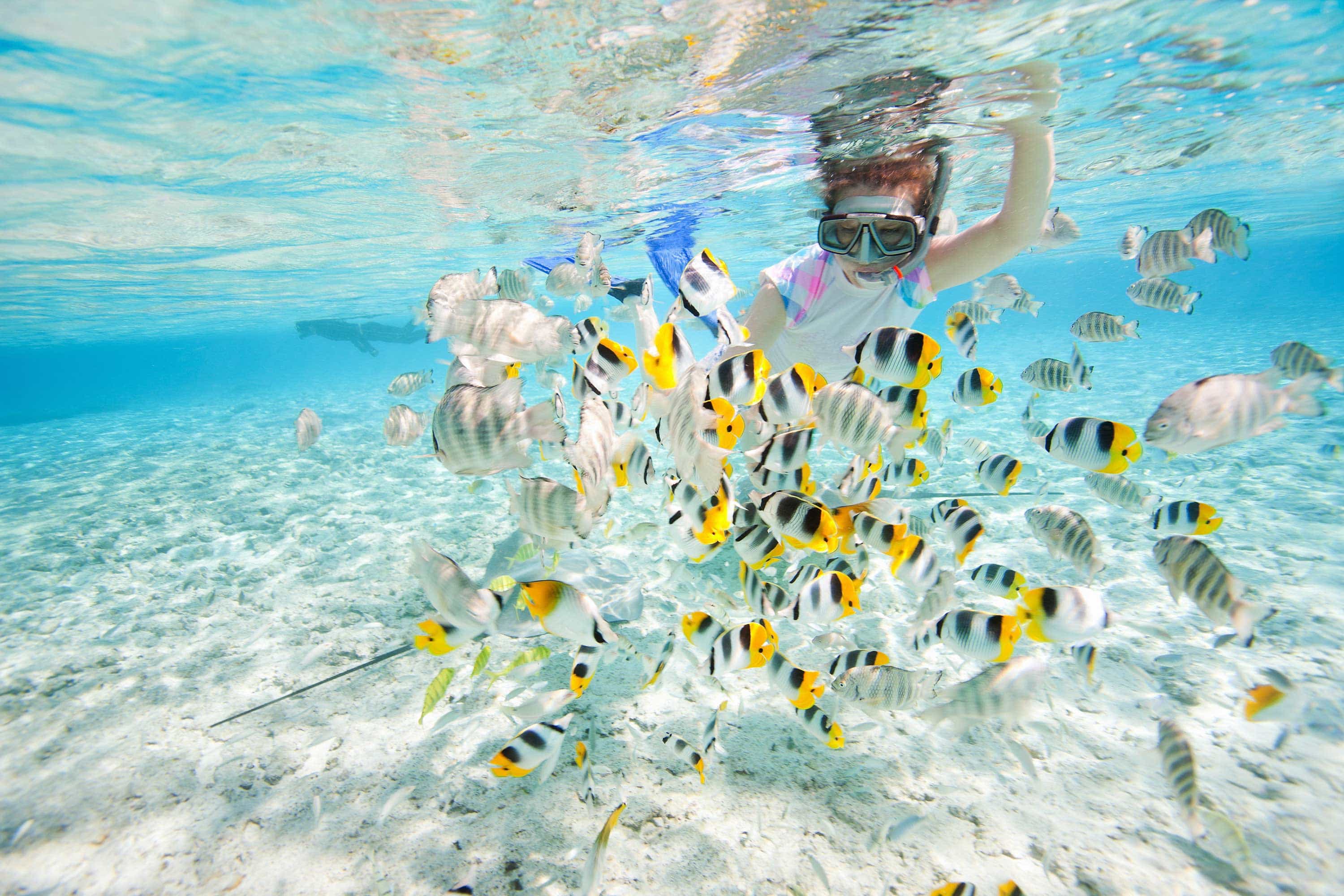 Snorkeling and Diving in Koh Rong Island