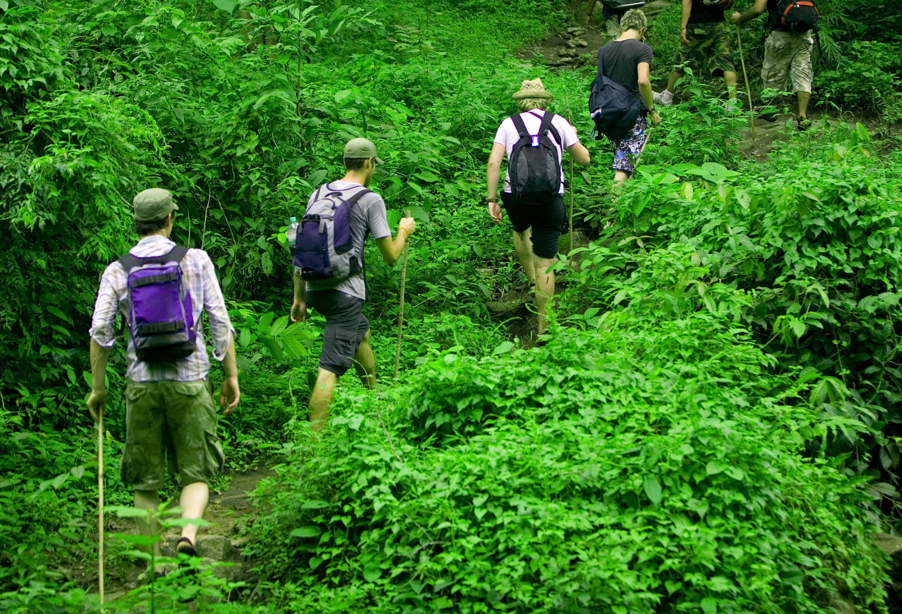 Chiang Mai Jungle Trekking b91ef