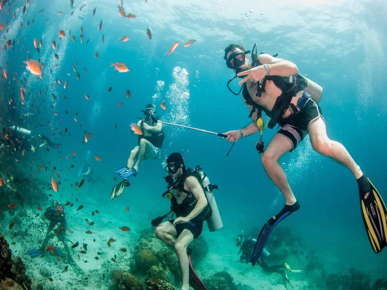 Scuba diving in Koh Tao, Thailand