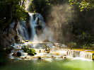 Green plants near Kuang Si Waterfalls glistening with mist.