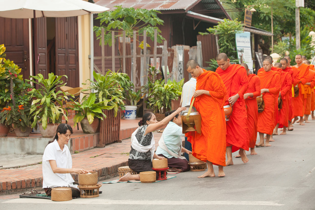 Monks in saffron robes walking in a line during the alms giving ceremony in Luang Prabang, Laos.