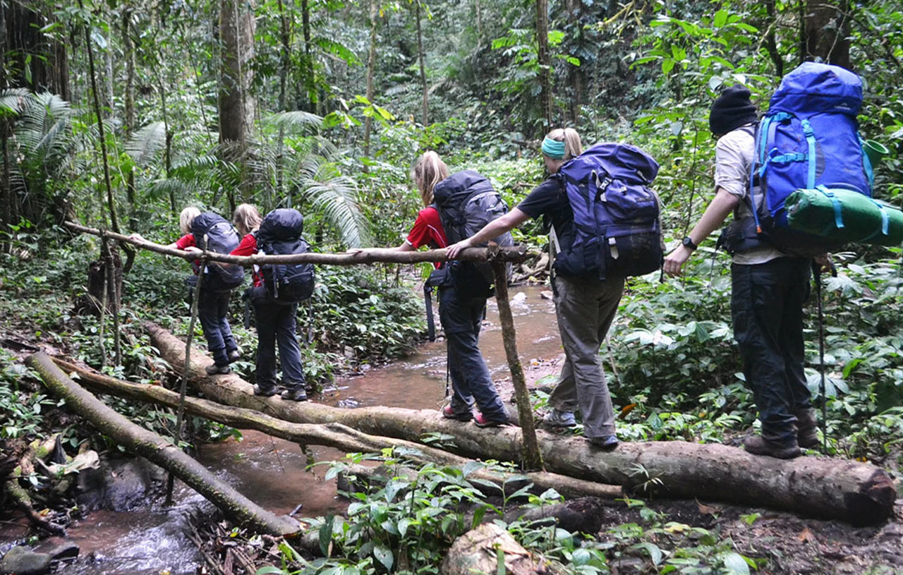 Trekking through the lush landscapes of Northern Laos, a perfect adventure for nature lovers.