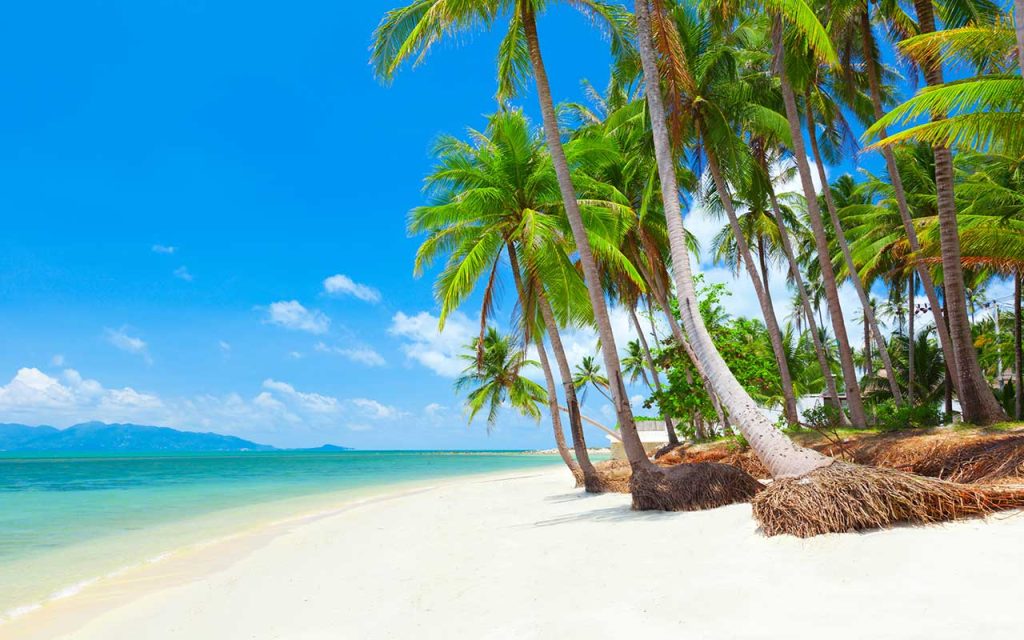 Best Time to Visit Thailand: A Complete Seasonal Guide for Travelers