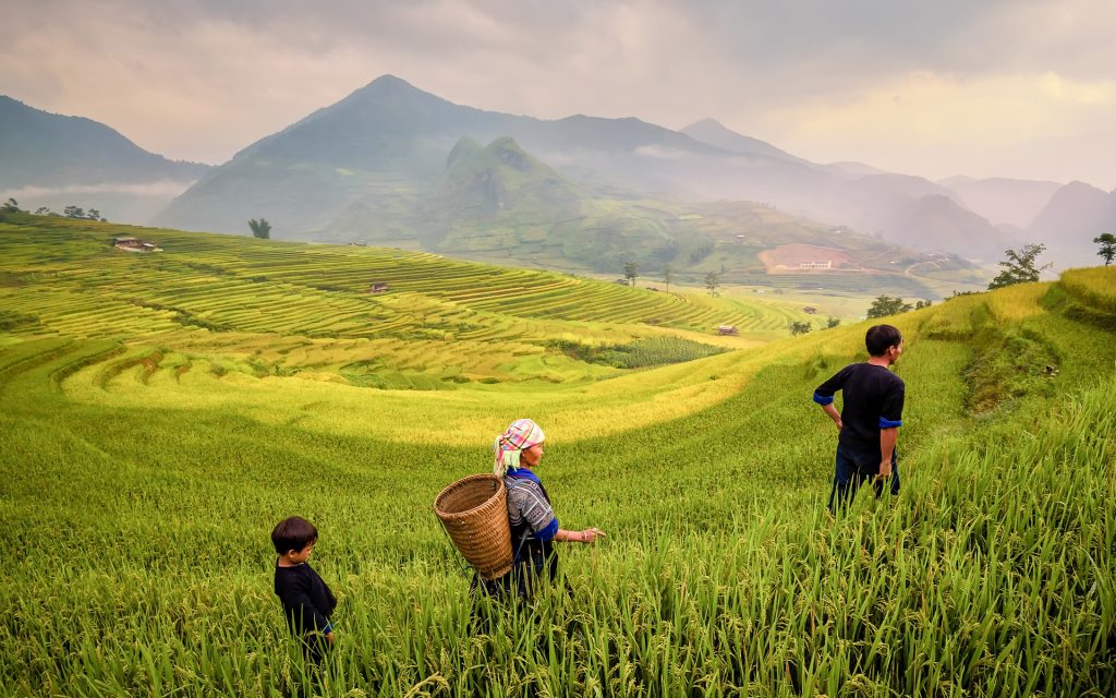 Vietnam & Cambodia Discovery