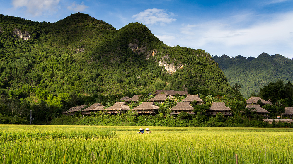 Mai Chau offers peaceful valleys, lush rice fields, and warm Thai ethnic hospitality, creating an idyllic escape into Vietnam’s authentic countryside charm.
