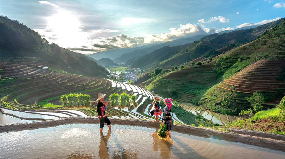 Sapa enchants visitors with misty mountains, lush rice terraces, and vibrant hill tribe cultures, offering breathtaking scenery and authentic Northern Vietnam experiences.