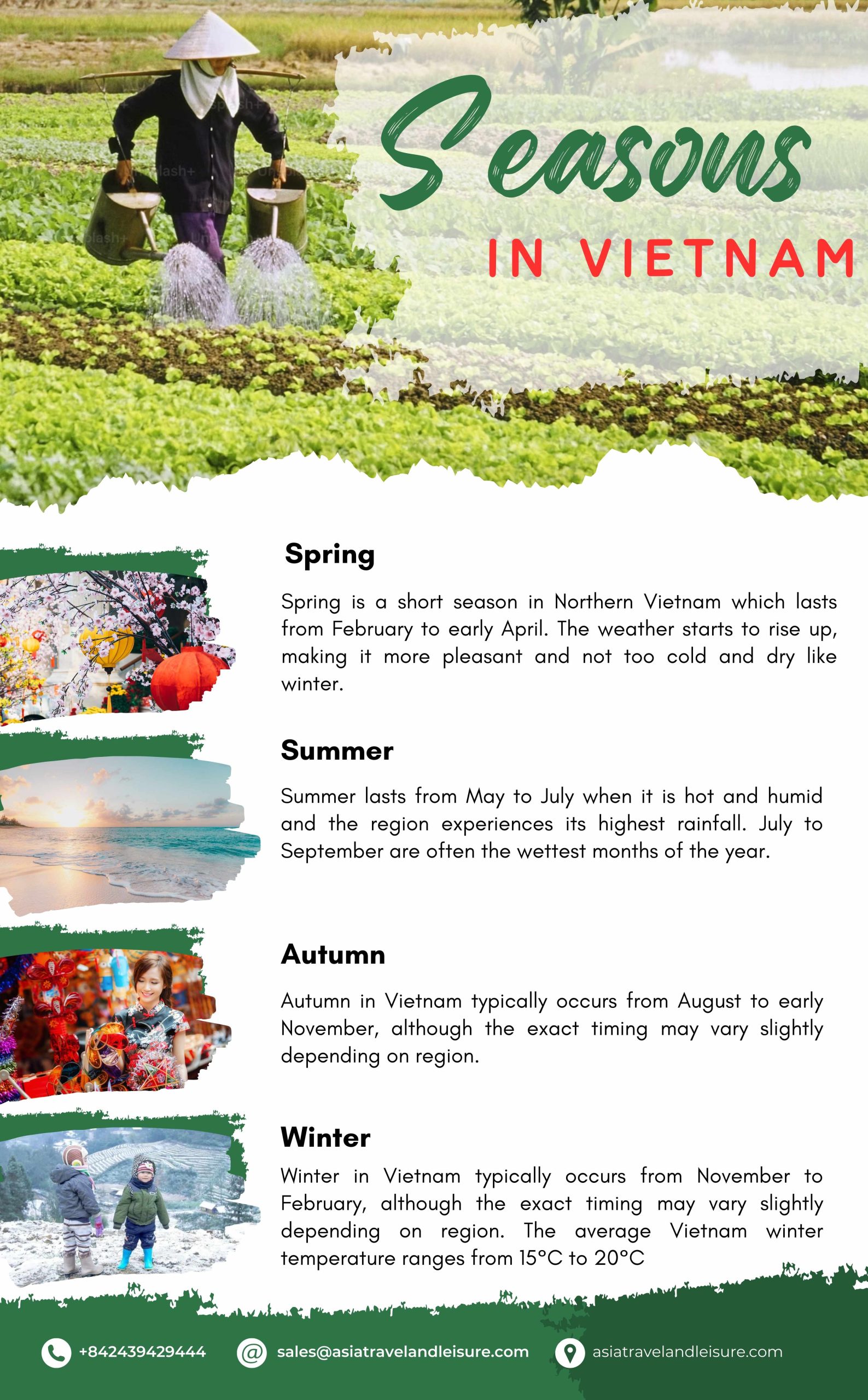 Collage showcasing the four seasons in Vietnam with images representing summer, fall, winter, and spring.