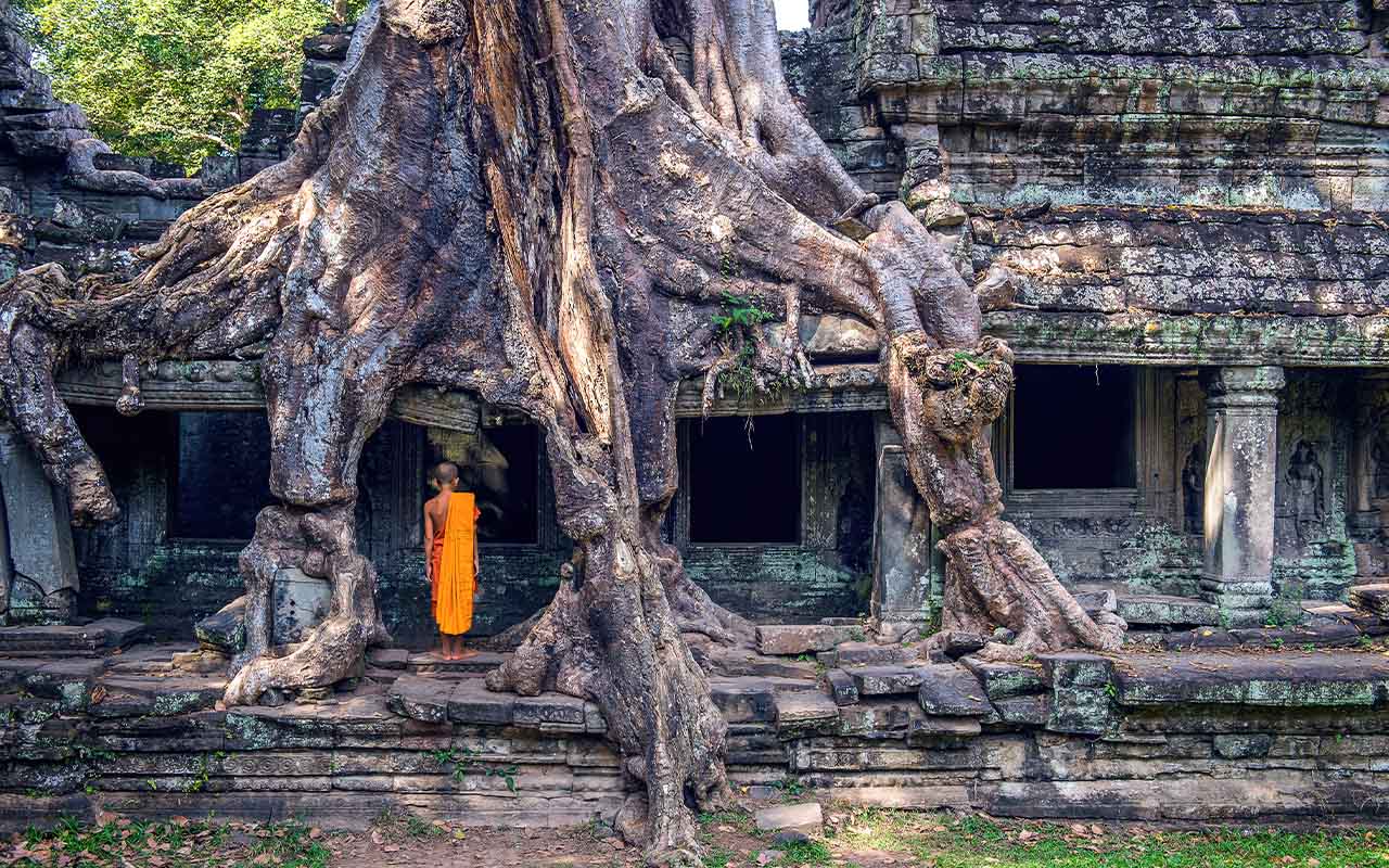 Ta Prohm Temple: The Enigmatic Temple of Angkor