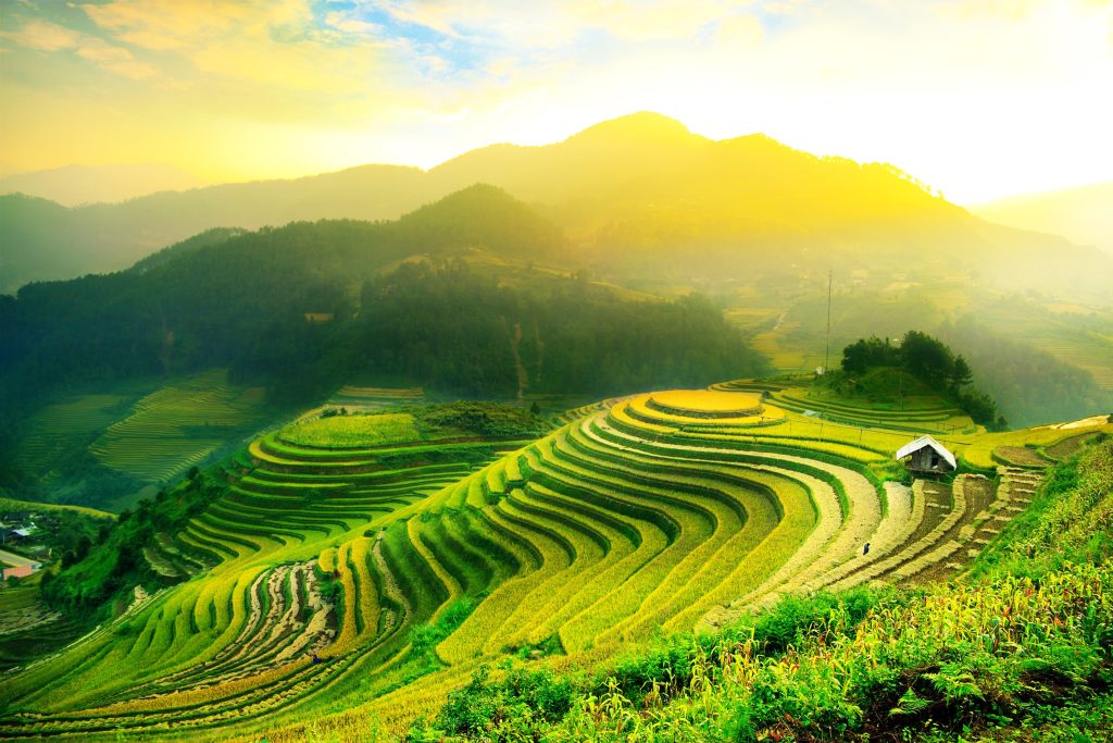 Discover the Best Time to Visit Vietnam for an Unforgettable Experience