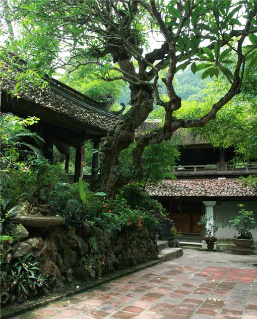 Thay Pagoda Festival