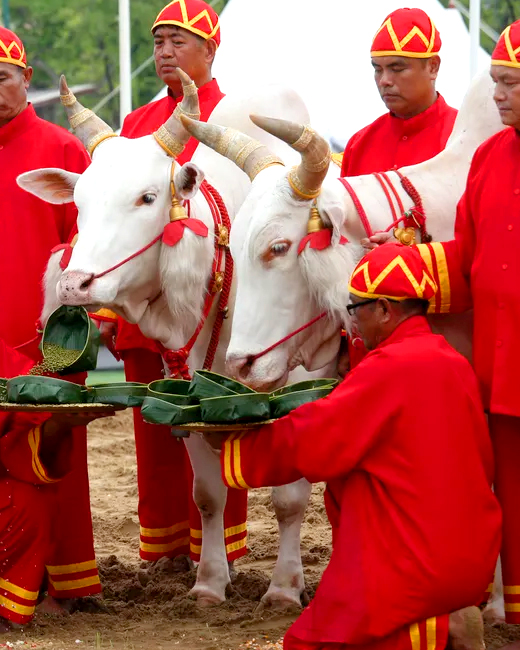 Royal Ploughing Ceremony