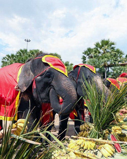 National Thai Elephant Day