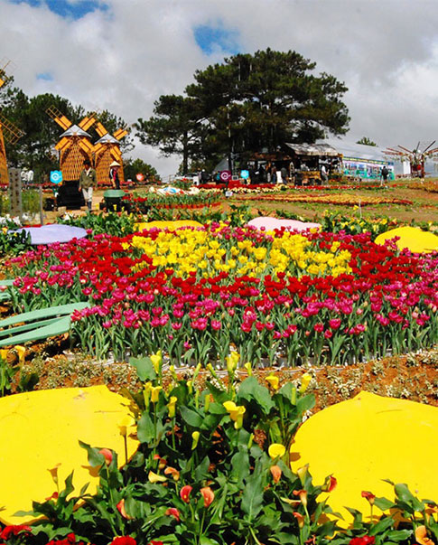 Dalat Flower Festival