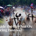 Mud, Muscle, and Memory: Inside the Bay Nui Ox Racing Festival