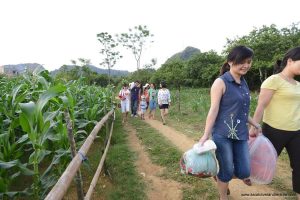 Asia Travel And Leisure
