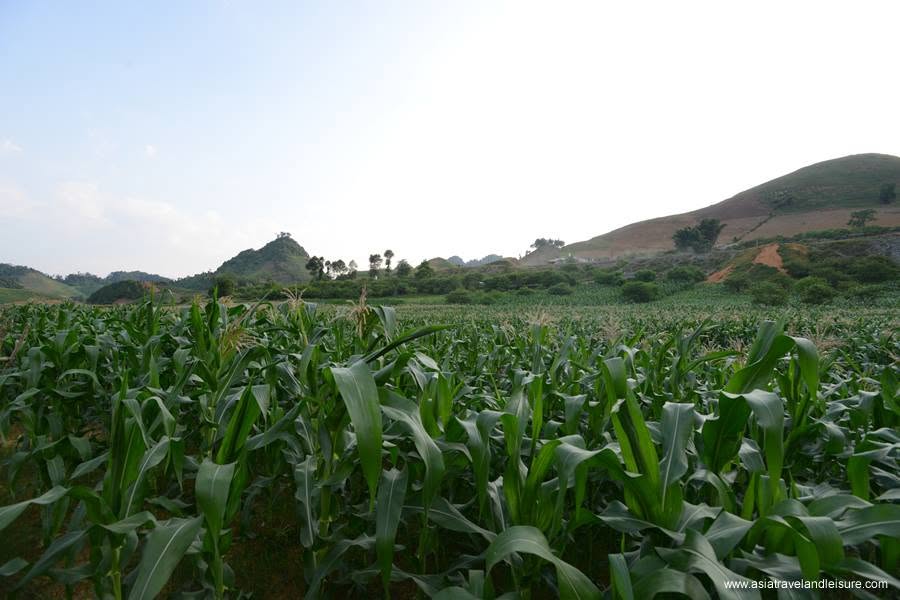 Our four sisters in Moc Chau